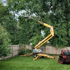 Best Lot and Land Clearing  in Griffin, GA
